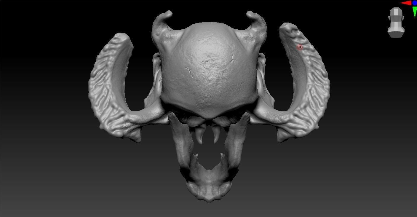 Demon skull 3D model_5