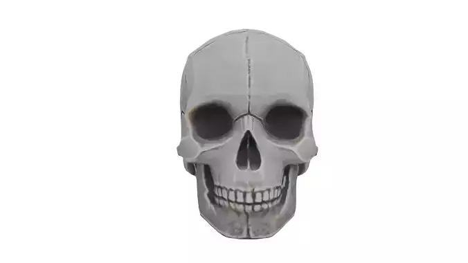 Human skull LowPoly Low-poly 3D model