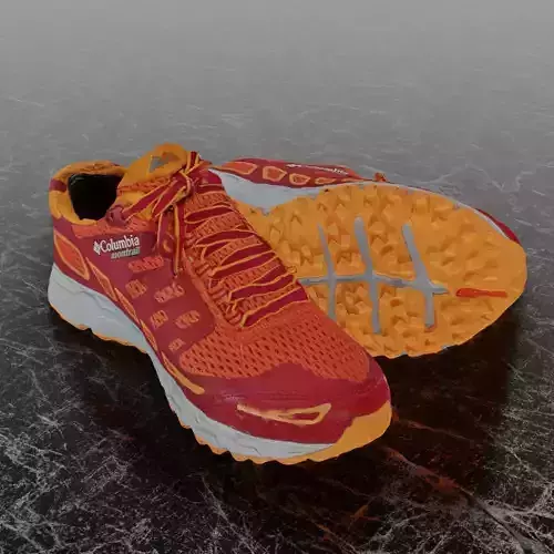 COLUMBIA MONTRAIL 3D SHOES 