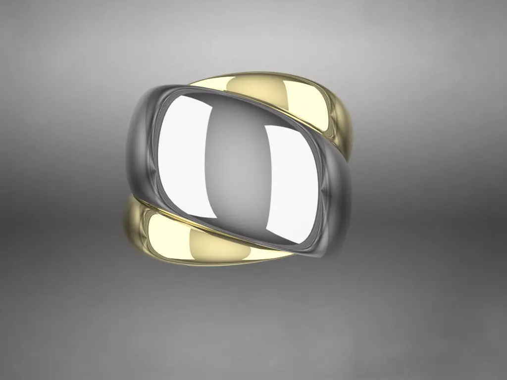 Ring56 3D print model_0