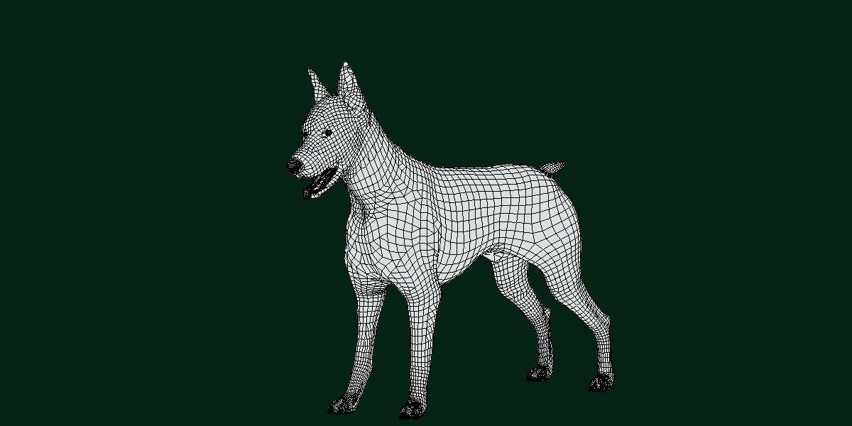 Dobermann Pinscher Dog Breed  3D model_10