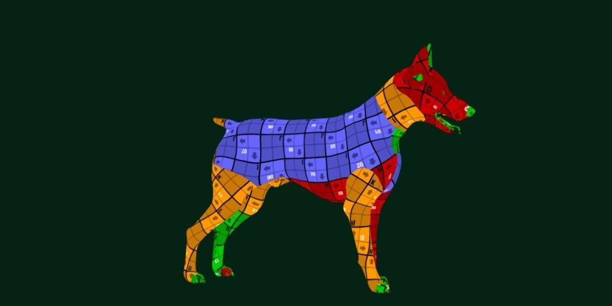 Dobermann Pinscher Dog Breed  3D model_13