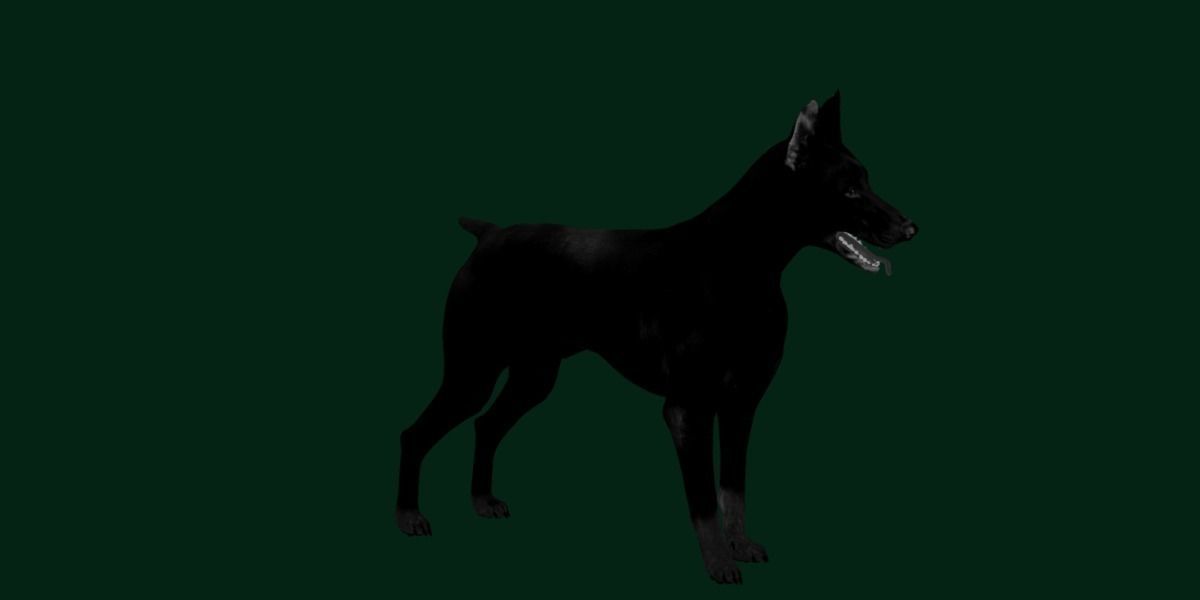 Dobermann Pinscher Dog Breed  3D model_22