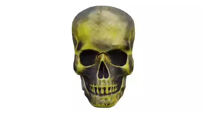 Golden Grimy Cranium LowPoly Low-poly 3D model
