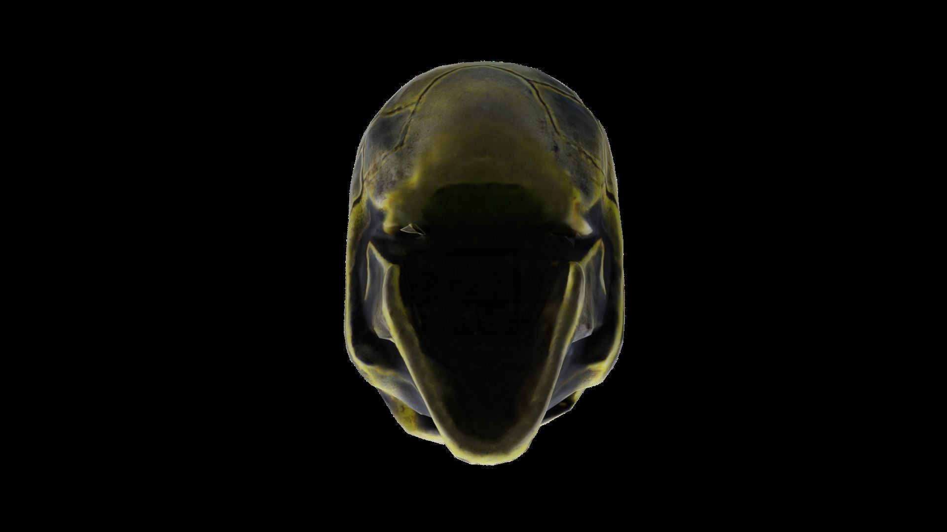 Golden Grimy Cranium LowPoly Low-poly 3D model_5