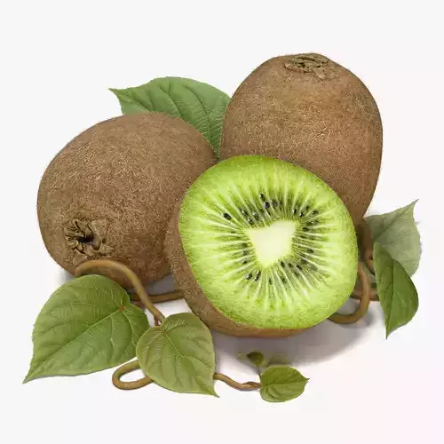 Kiwi Fruit