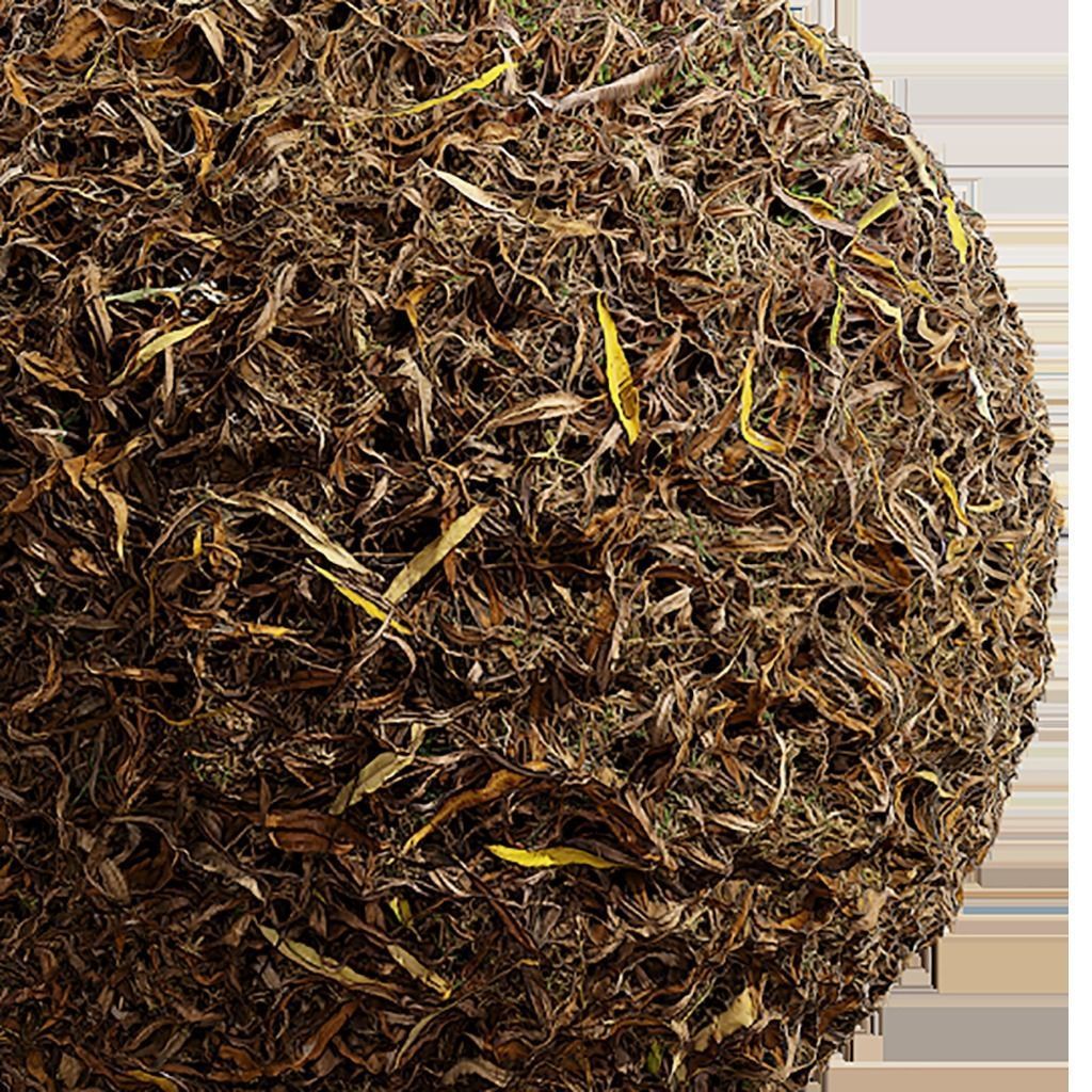 Debris Seamless Texture 2K - EXR 5 - JPG 5 Texture Texture_2