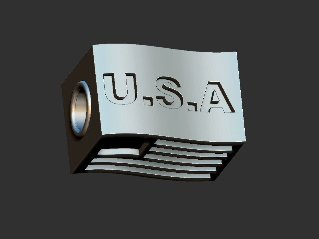 Pandora USA Flag 3D print model_1
