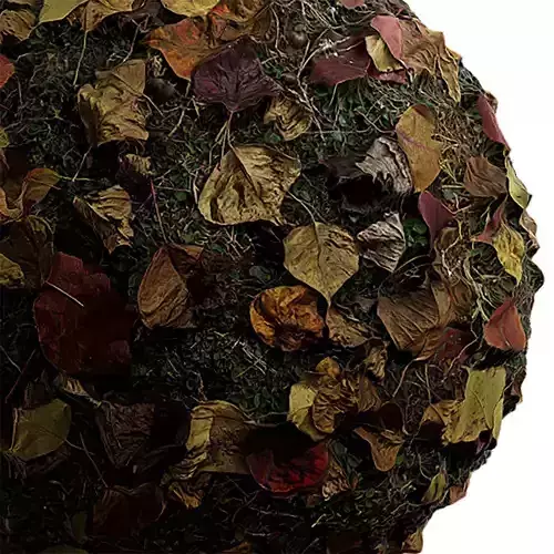 Debris Seamless Texture 2K - EXR 5 - JPG 5 Texture