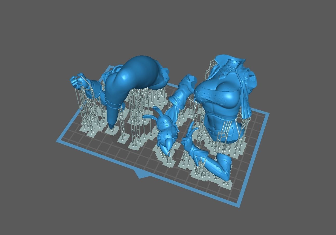 Nicole Demara 3D print model_28