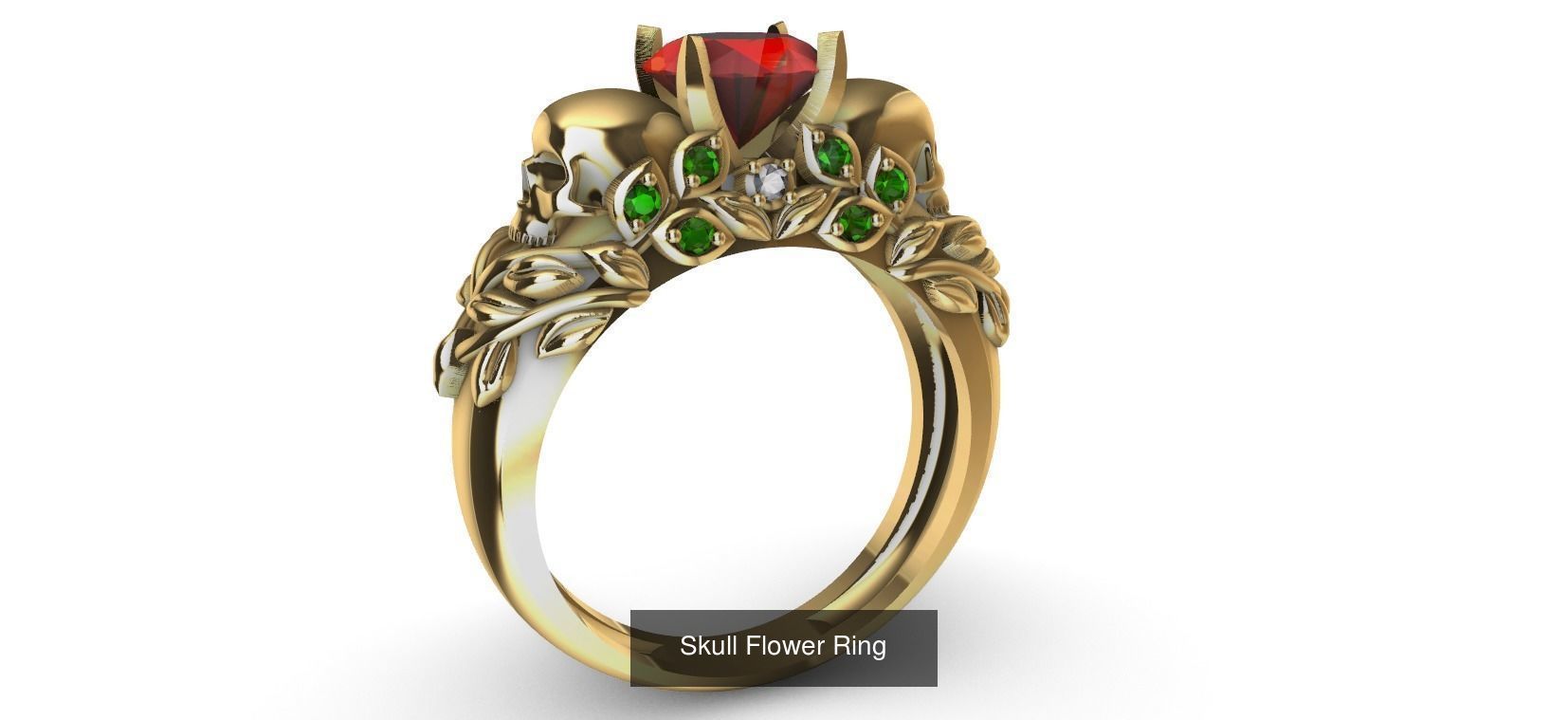 Skull Set  3D Model Collection_6