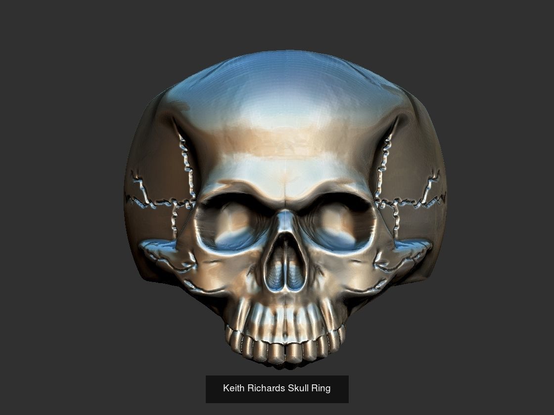 Skull Set  3D Model Collection_22