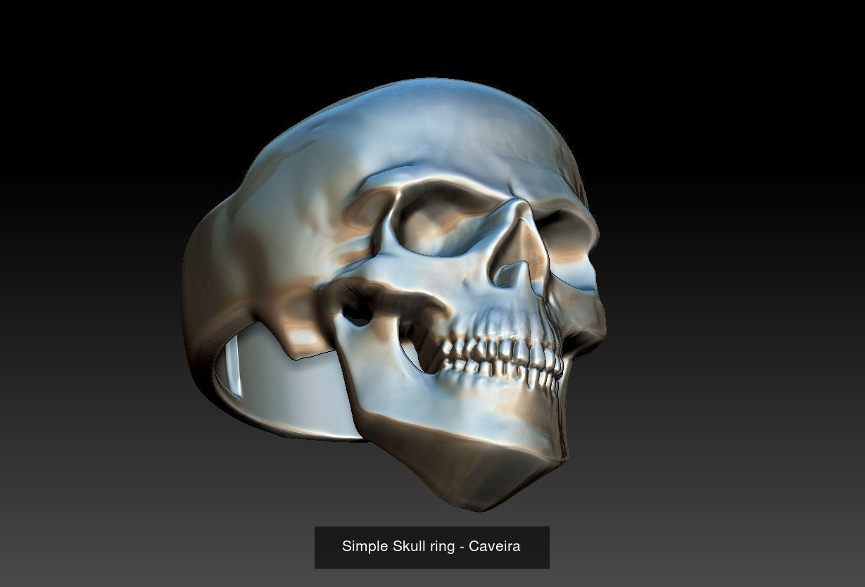 Skull Set  3D Model Collection_9