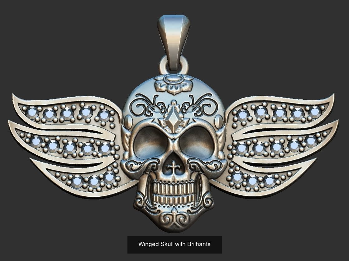 Skull Set  3D Model Collection_13