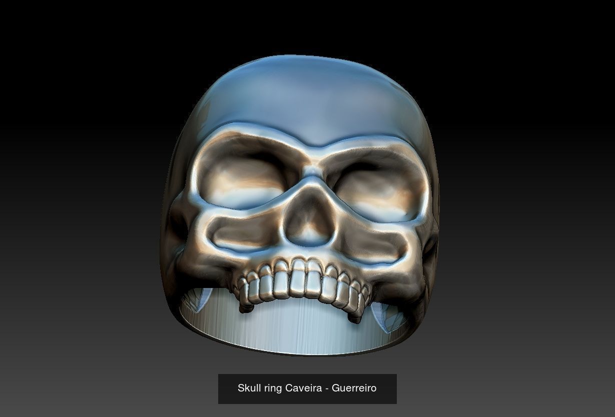 Skull Set  3D Model Collection_3