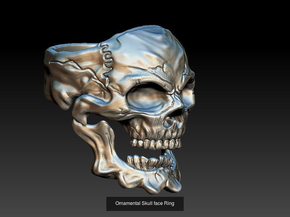 Skull Set  3D Model Collection_10