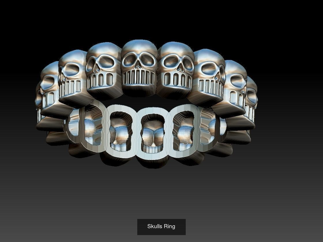 Skull Set  3D Model Collection_4