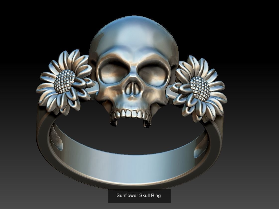 Skull Set  3D Model Collection_12