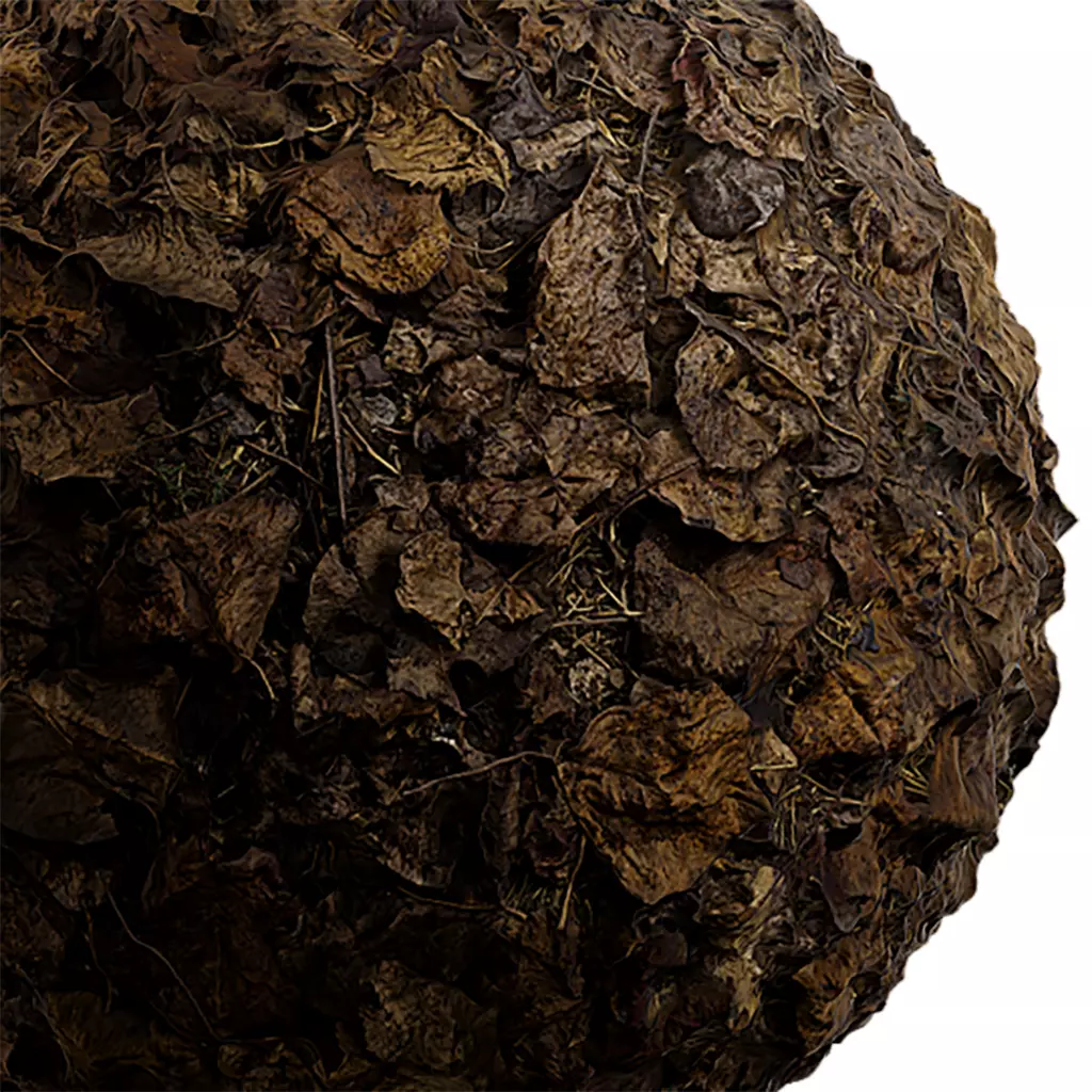 Debris Seamless Texture 2K - EXR 5 - JPG 5 Texture Texture_0