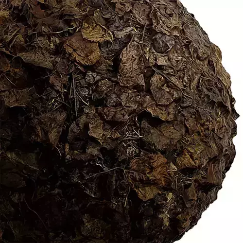 Debris Seamless Texture 2K - EXR 5 - JPG 5 Texture