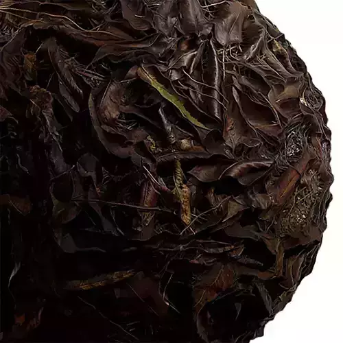 Debris Seamless Texture 2K - EXR 5 - JPG 5 Texture