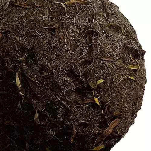 Debris Seamless Texture 2K - EXR 5 - JPG 5 Texture