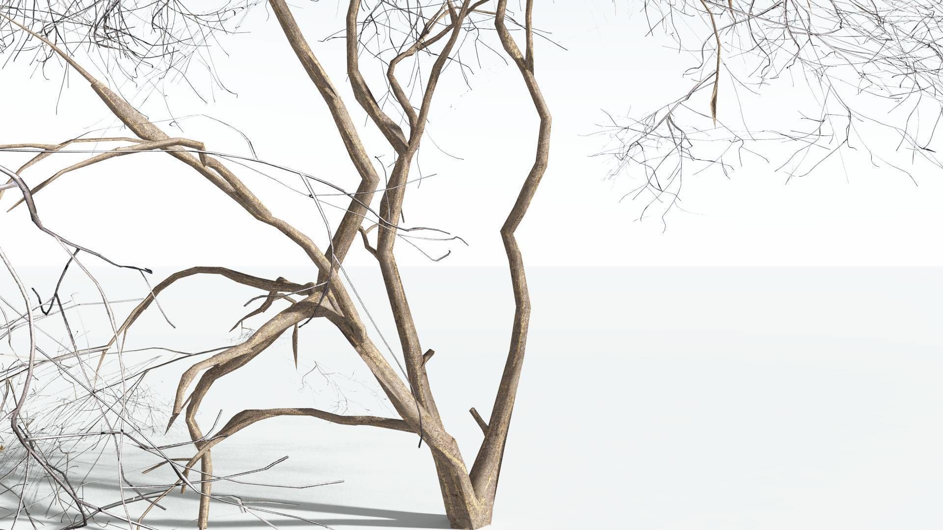 EVERYPlant Japanese Maple LowPoly 3 --18 Models-- Low-poly 3D model_10