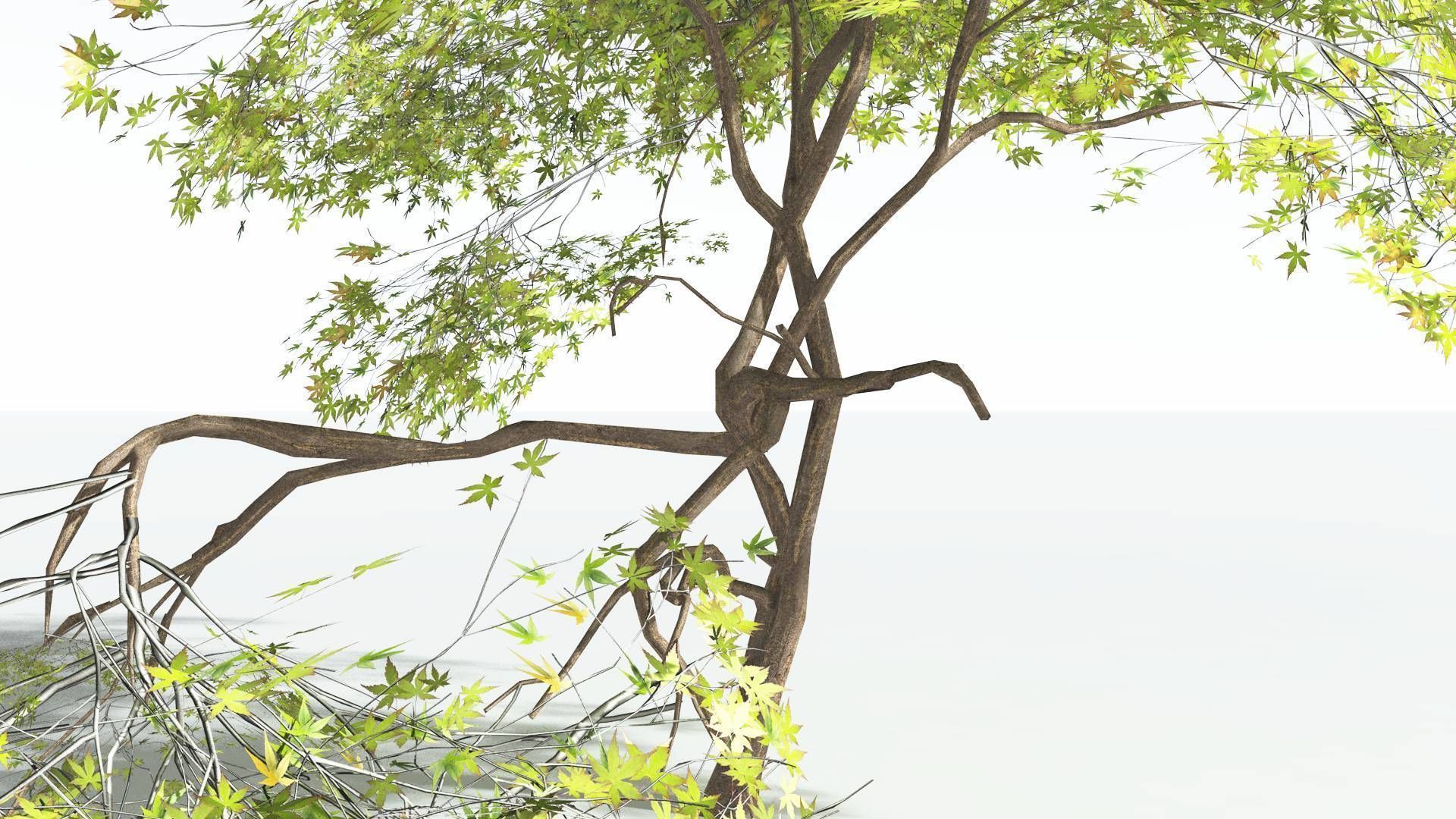 EVERYPlant Japanese Maple LowPoly 3 --18 Models-- Low-poly 3D model_32