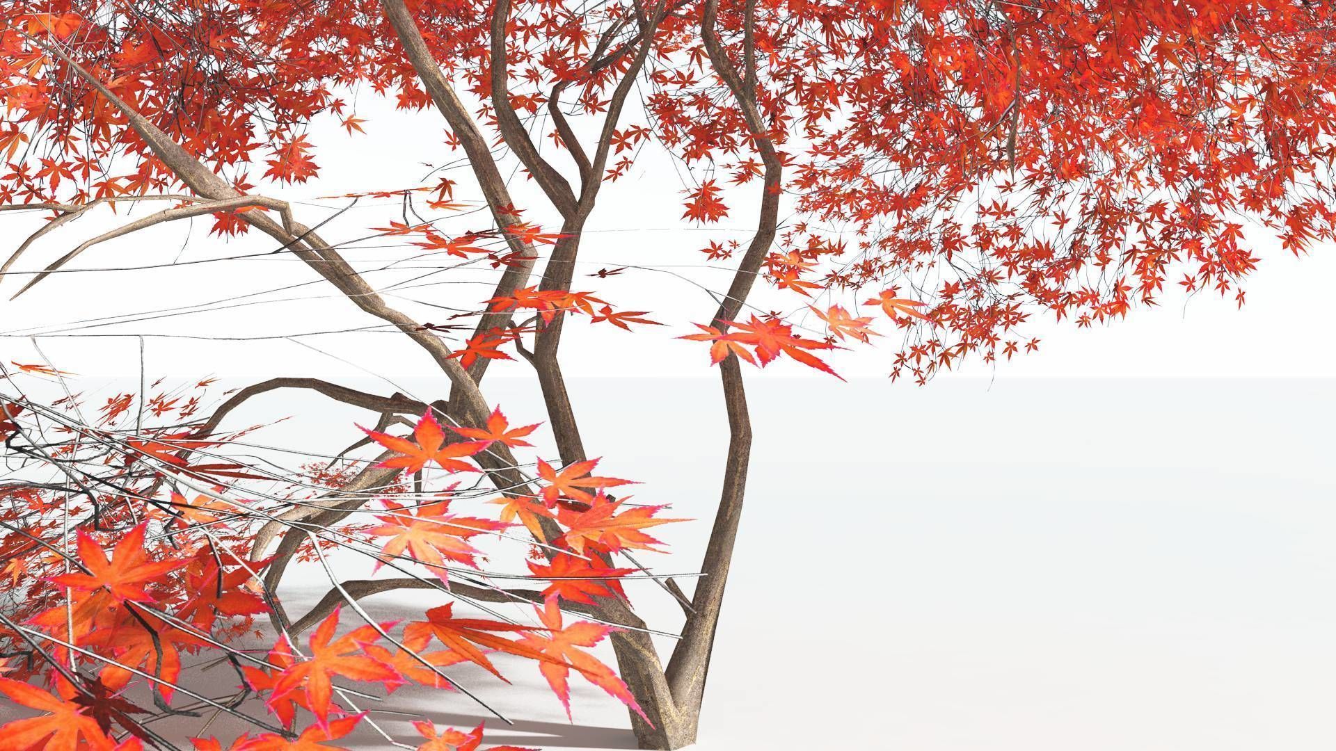 EVERYPlant Japanese Maple LowPoly 3 --18 Models-- Low-poly 3D model_8