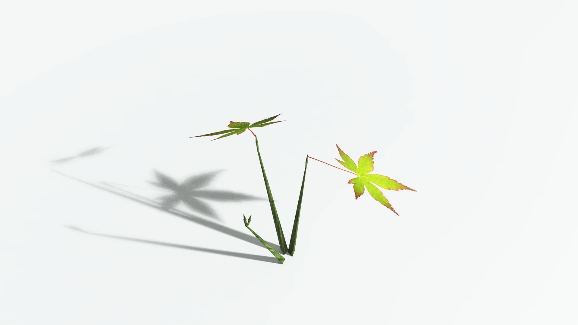 EVERYPlant Japanese Maple LowPoly 3 --18 Models-- Low-poly 3D model_28