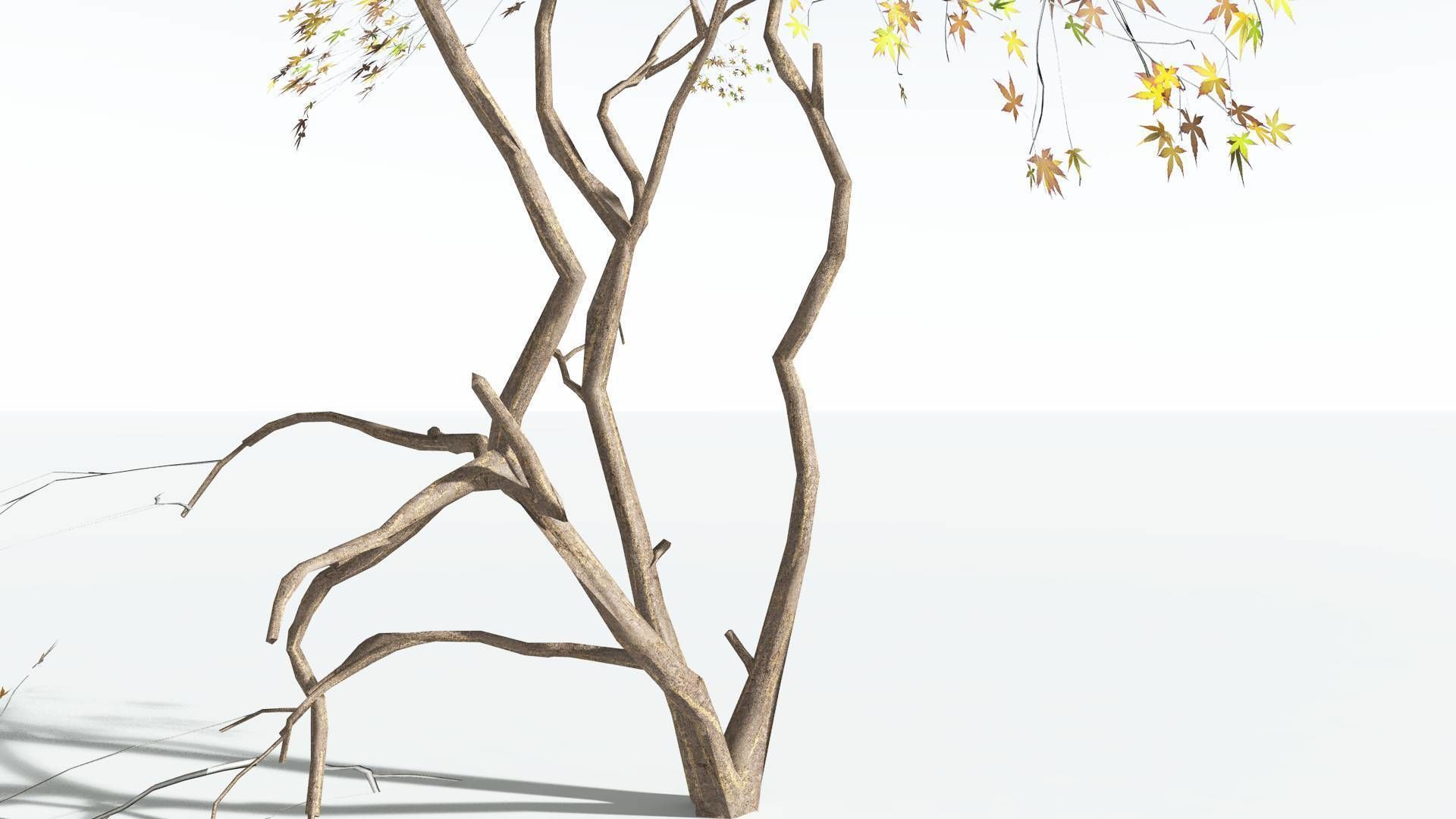 EVERYPlant Japanese Maple LowPoly 3 --18 Models-- Low-poly 3D model_16