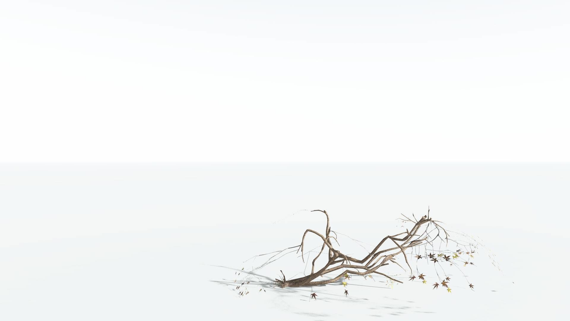 EVERYPlant Japanese Maple LowPoly 3 --18 Models-- Low-poly 3D model_19