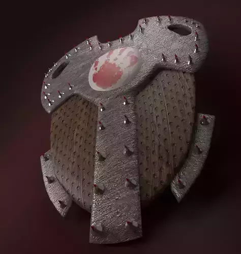 Spiked shield