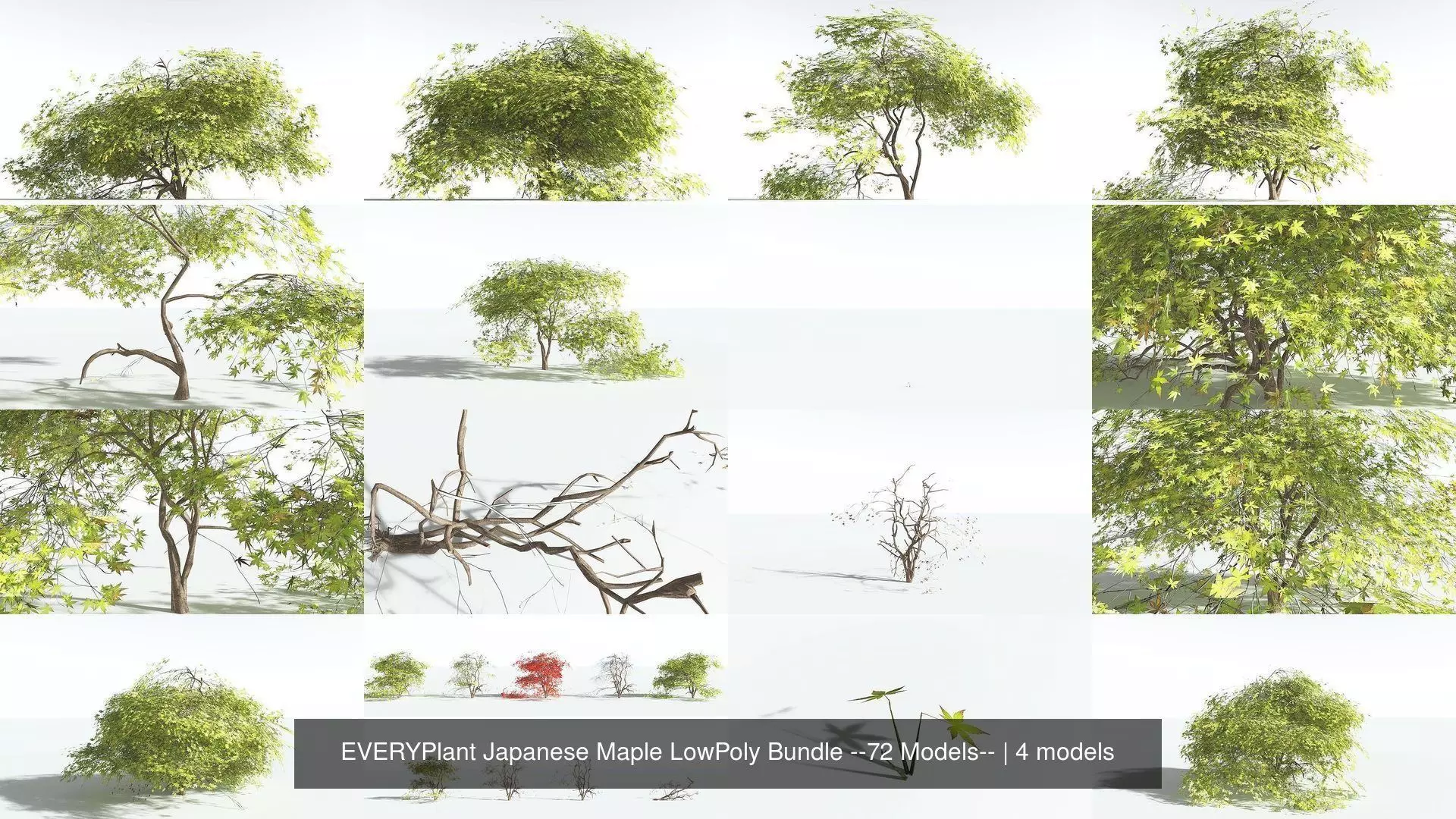 EVERYPlant Japanese Maple LowPoly Bundle --72 Models-- 3D Model Collection_0