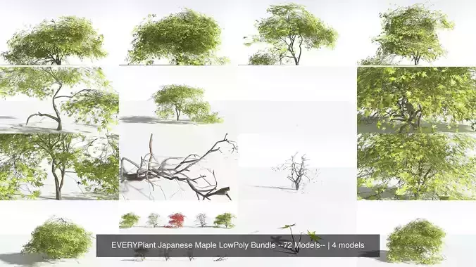 EVERYPlant Japanese Maple LowPoly Bundle --72 Models-- 3D Model Collection