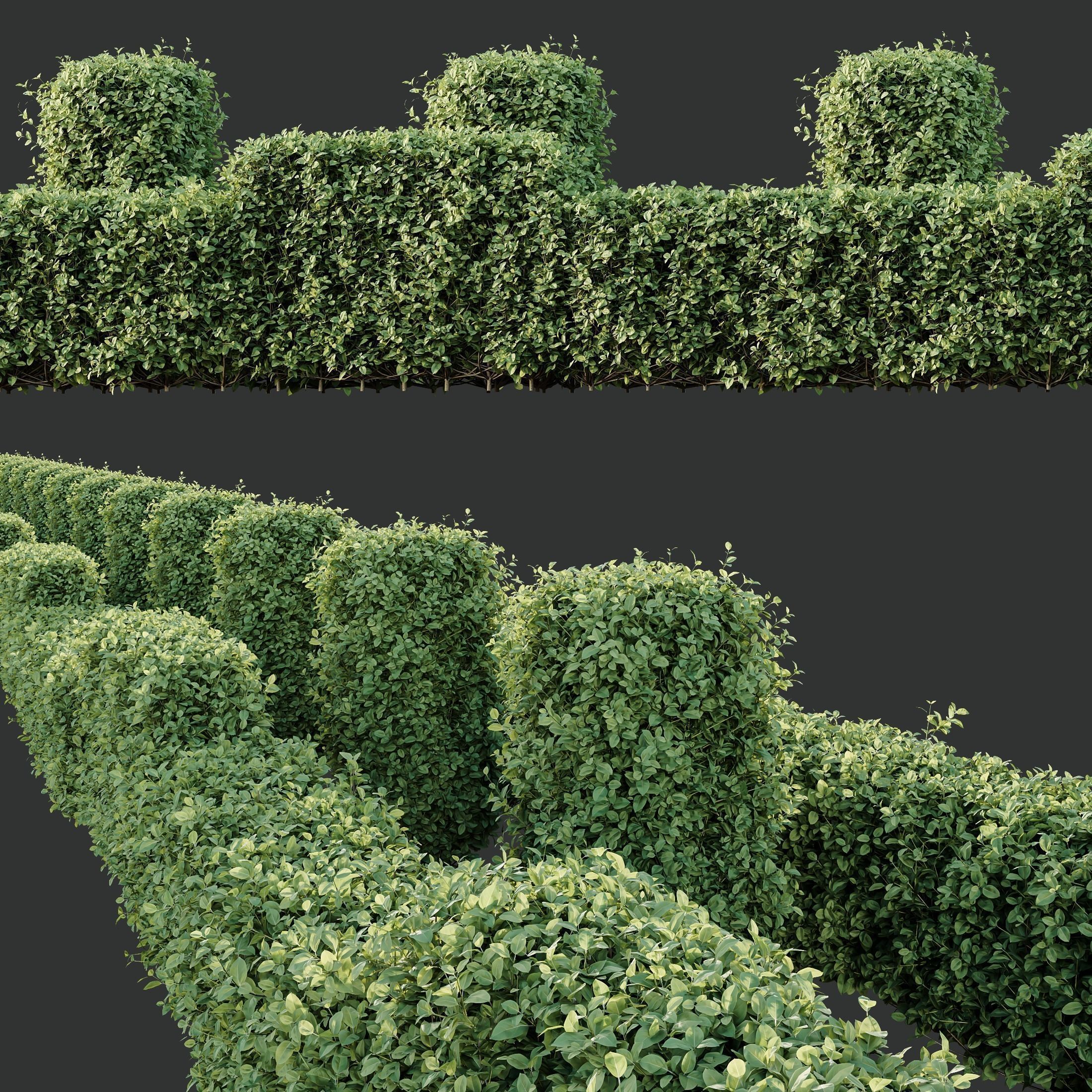 6 Different SETS of Indoor Shrub SET VOL121 3D Model Collection_13