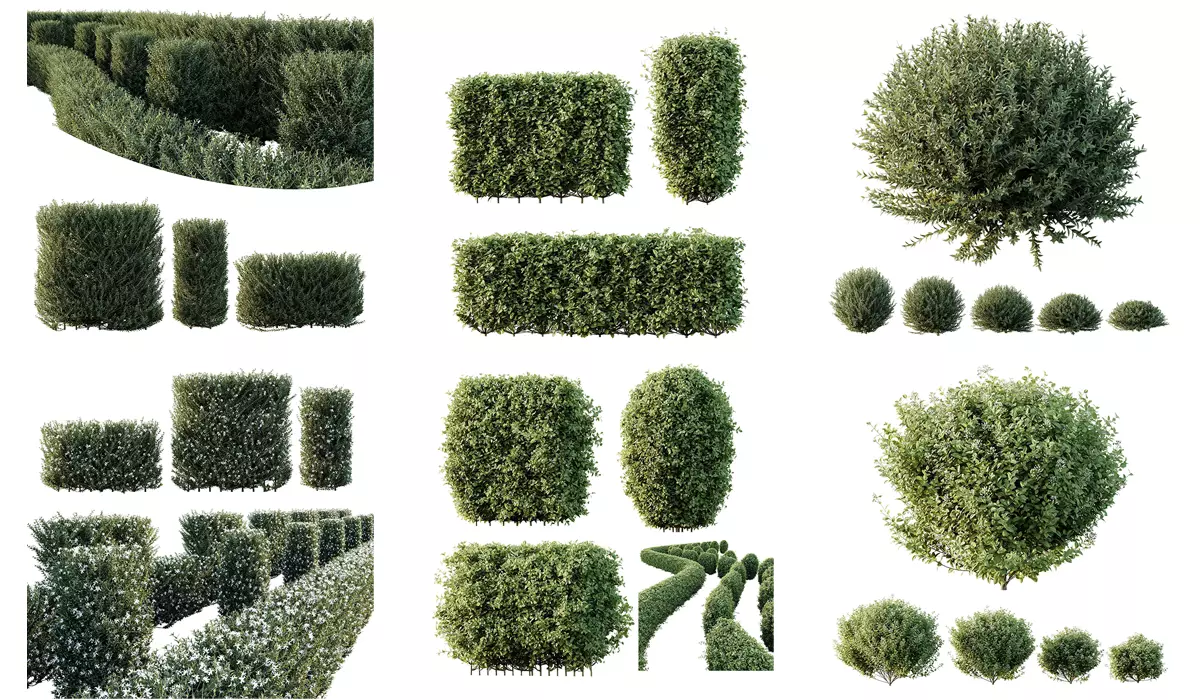 6 Different SETS of Indoor Shrub SET VOL121 3D Model Collection_0