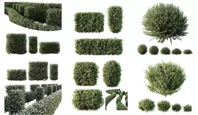 6 Different SETS of Indoor Shrub SET VOL121 3D Model Collection