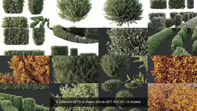 6 Different SETS of Indoor Shrub SET VOL121