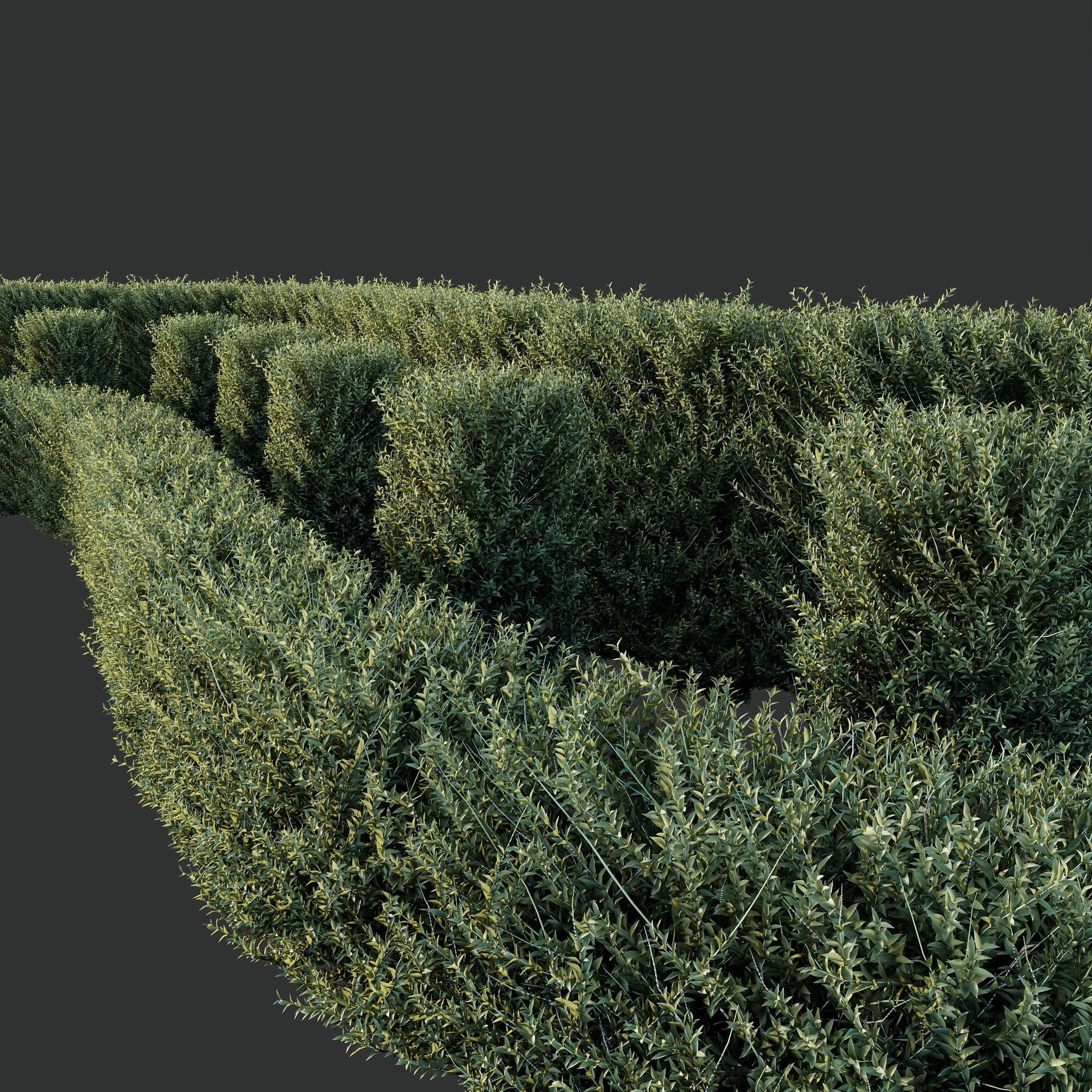 6 Different SETS of Indoor Shrub SET VOL121 3D Model Collection_14