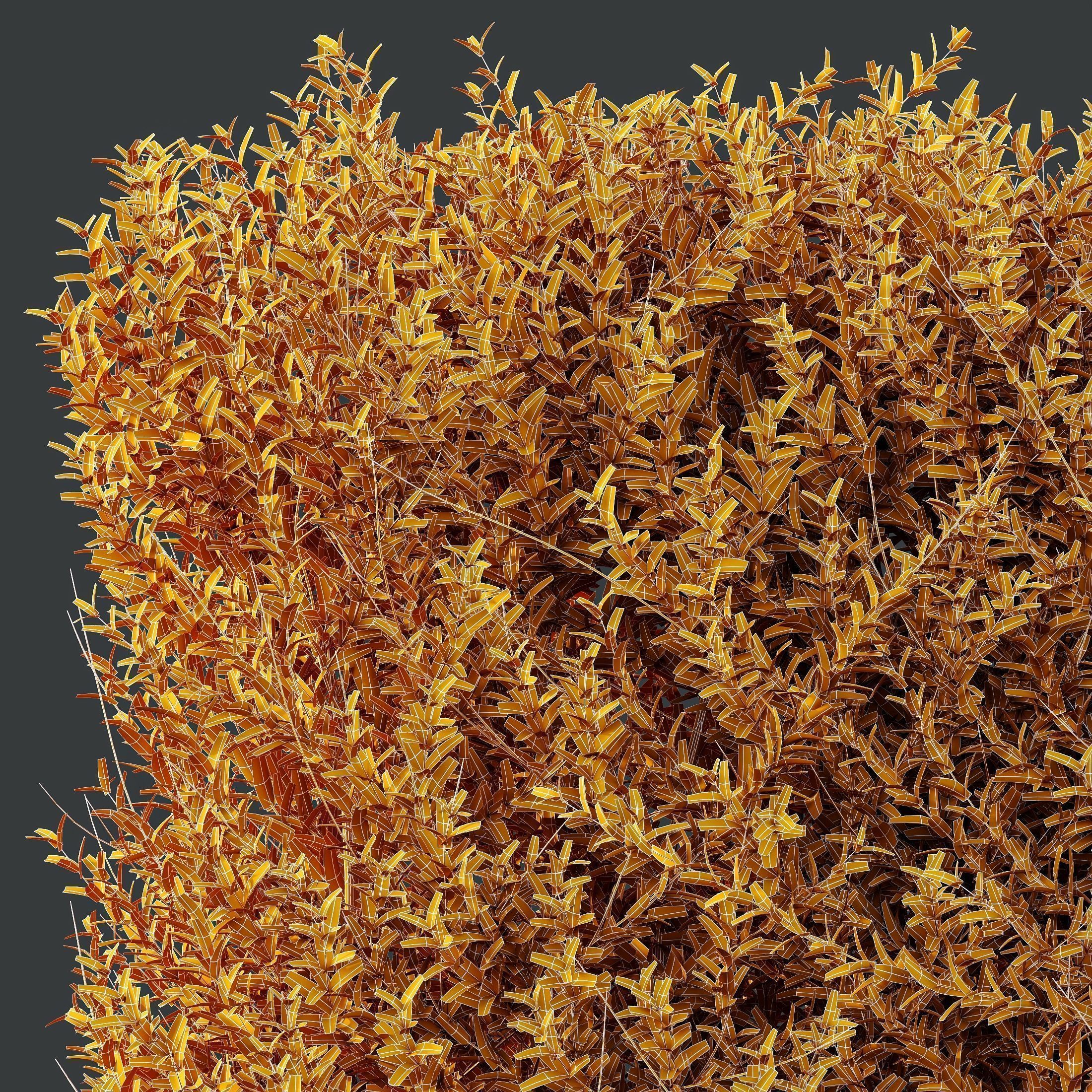 6 Different SETS of Indoor Shrub SET VOL121 3D Model Collection_21