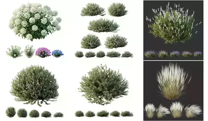 6 Different SETS of Plant Bush SET VOL122 3D Model Collection