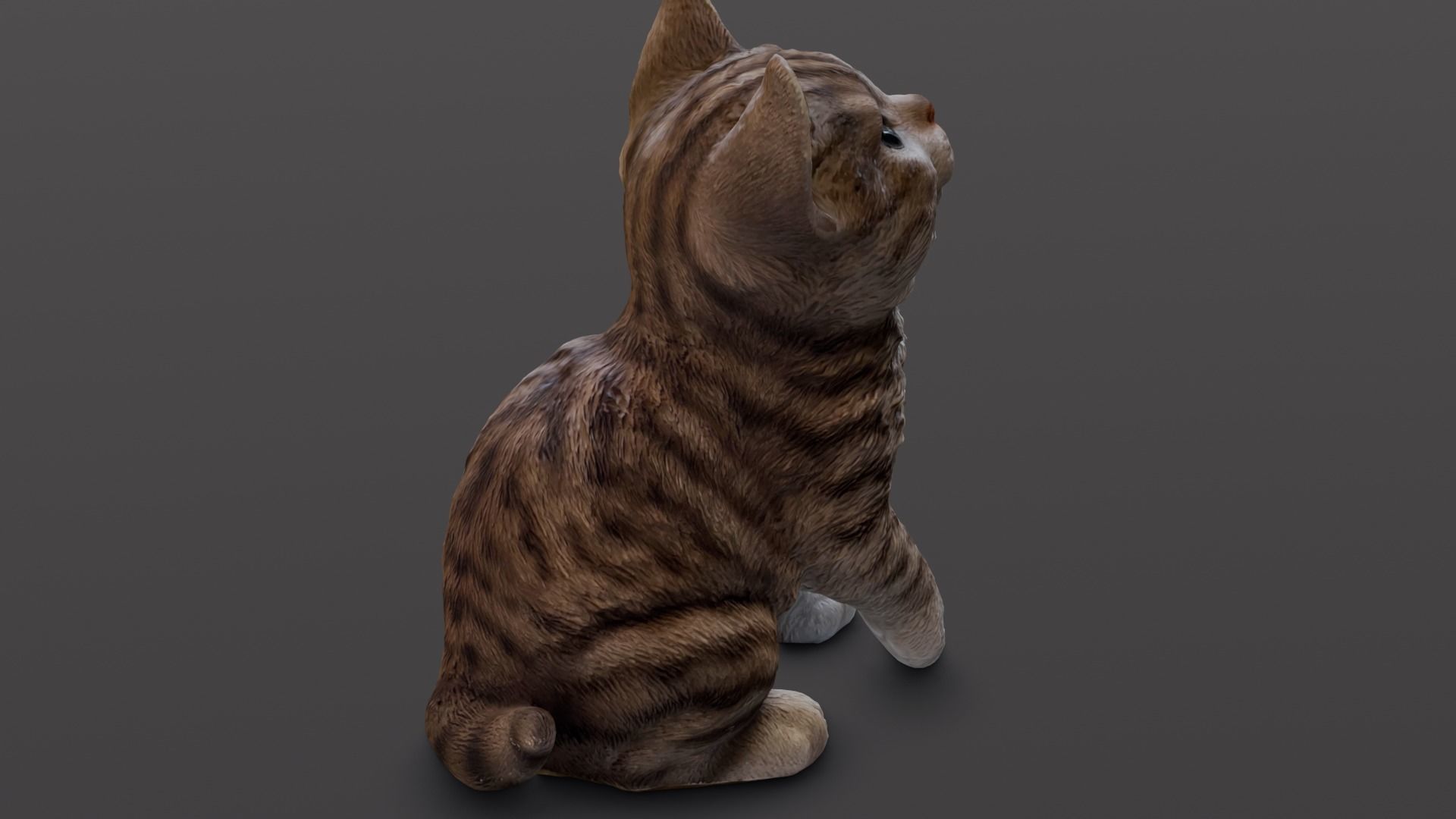 Kitten 3D Model Low-poly 3D model_4