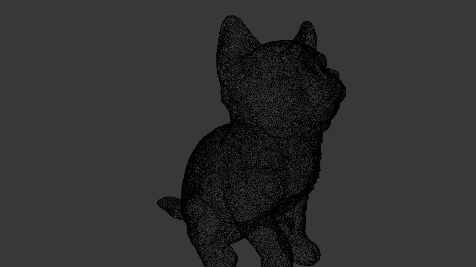 Kitten 3D Model Low-poly 3D model_9