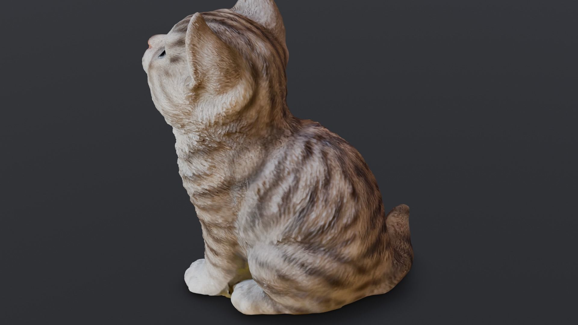 Kitten 3D Model Low-poly 3D model_18