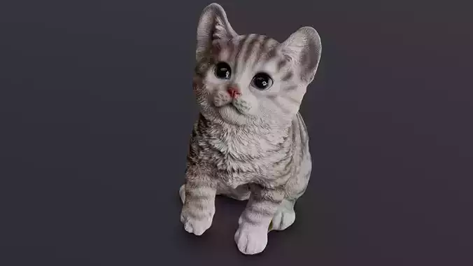 Kitten 3D Model