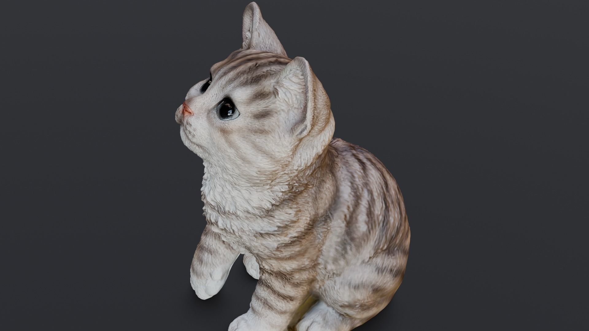 Kitten 3D Model Low-poly 3D model_16