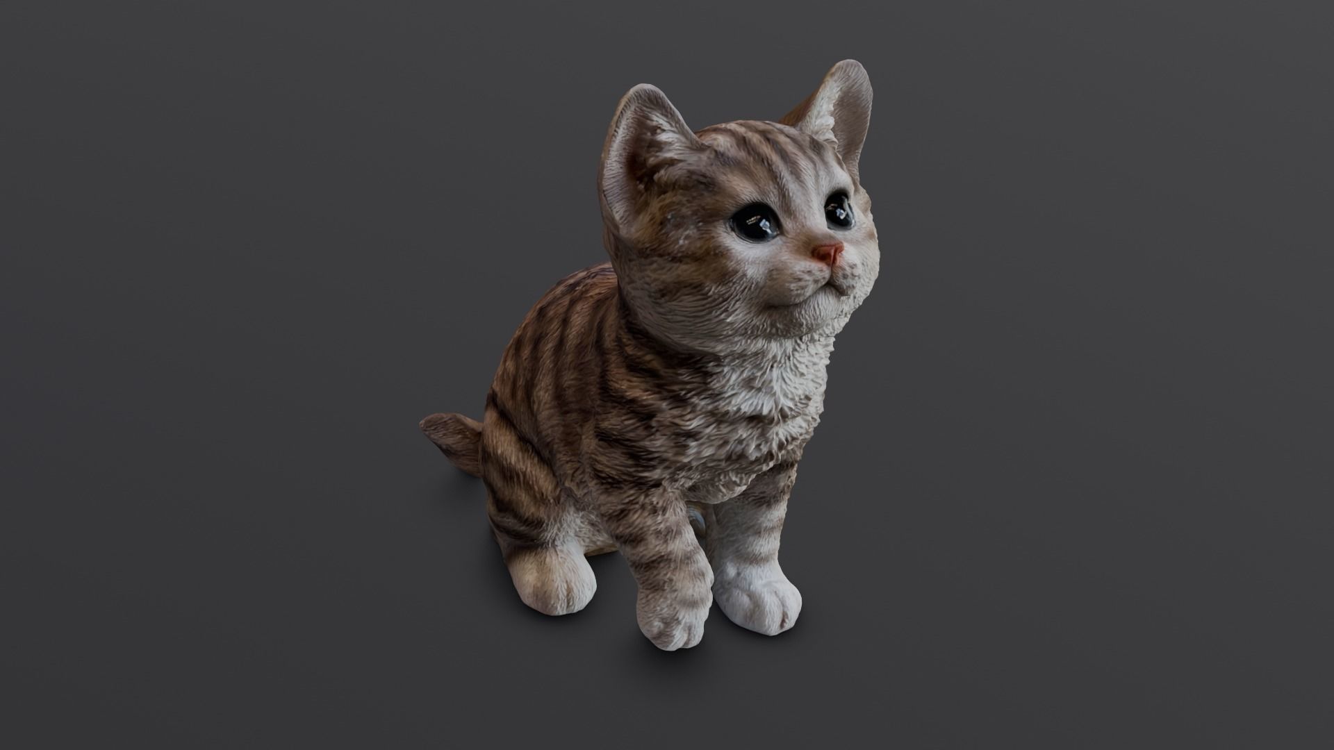 Kitten 3D Model Low-poly 3D model_15
