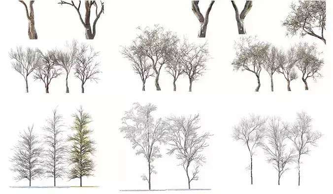 6 Different SETS of Tree SET VOL123 3D Model Collection