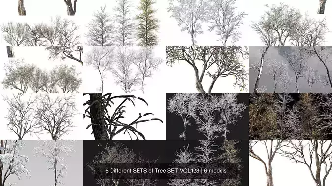 6 Different SETS of Tree SET VOL123